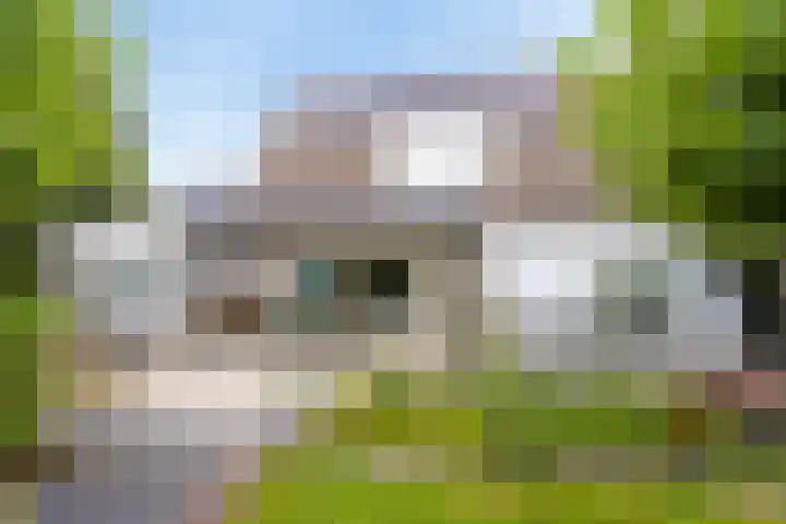 Dukaatstraat 18 's-Hertogenbosch thumbnail 21