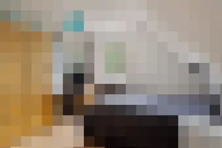 Dukaatstraat 18 's-Hertogenbosch thumbnail 29