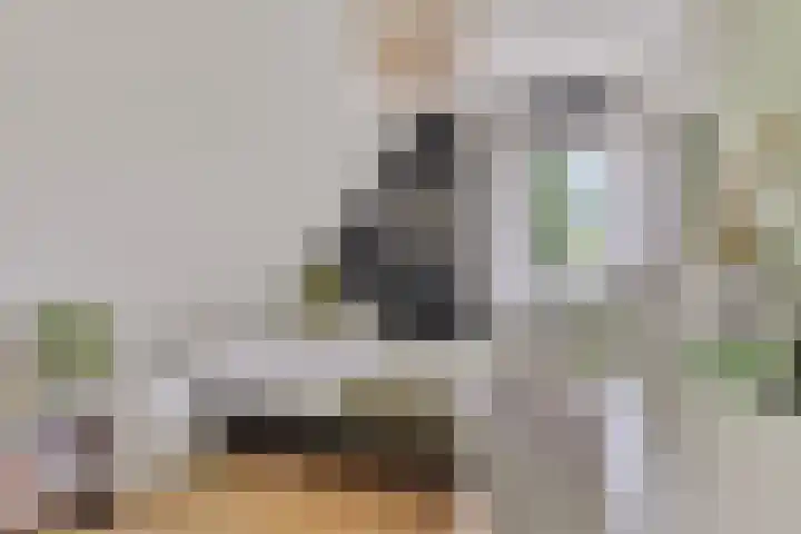 Dukaatstraat 18 's-Hertogenbosch thumbnail 30