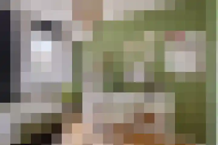 Dukaatstraat 18 's-Hertogenbosch thumbnail 31
