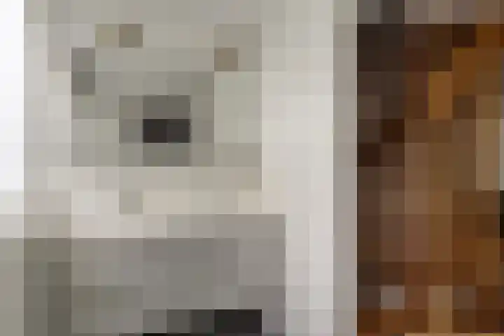 Dukaatstraat 18 's-Hertogenbosch thumbnail 32