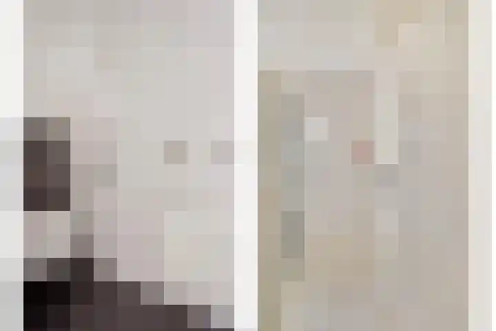 Dukaatstraat 18 's-Hertogenbosch thumbnail 34