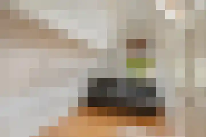 Dukaatstraat 18 's-Hertogenbosch thumbnail 35