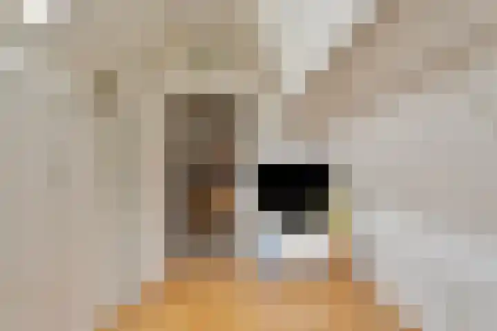 Dukaatstraat 18 's-Hertogenbosch thumbnail 36