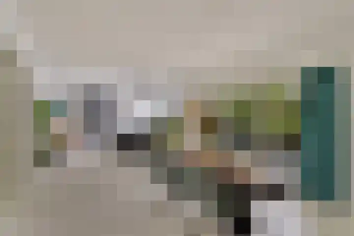 Dukaatstraat 18 's-Hertogenbosch thumbnail 4