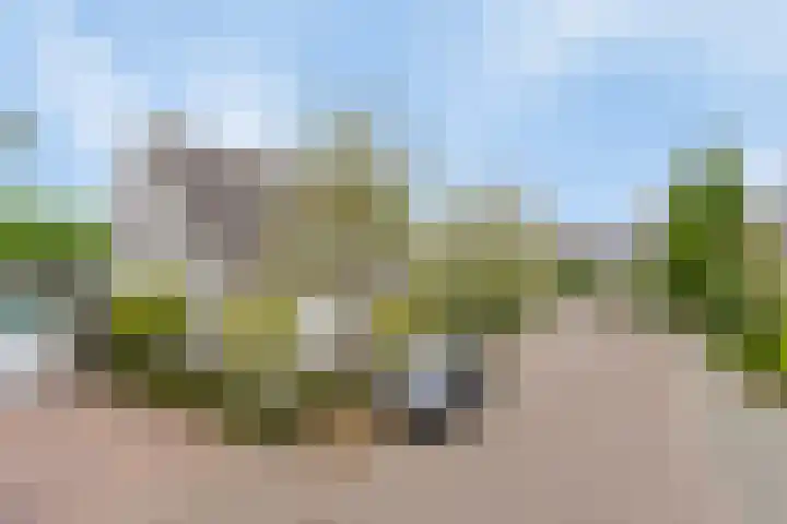 Dukaatstraat 18 's-Hertogenbosch thumbnail 41