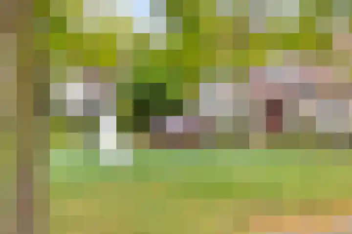 Dukaatstraat 18 's-Hertogenbosch thumbnail 44
