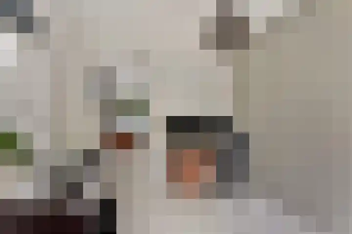 Dukaatstraat 18 's-Hertogenbosch thumbnail 8