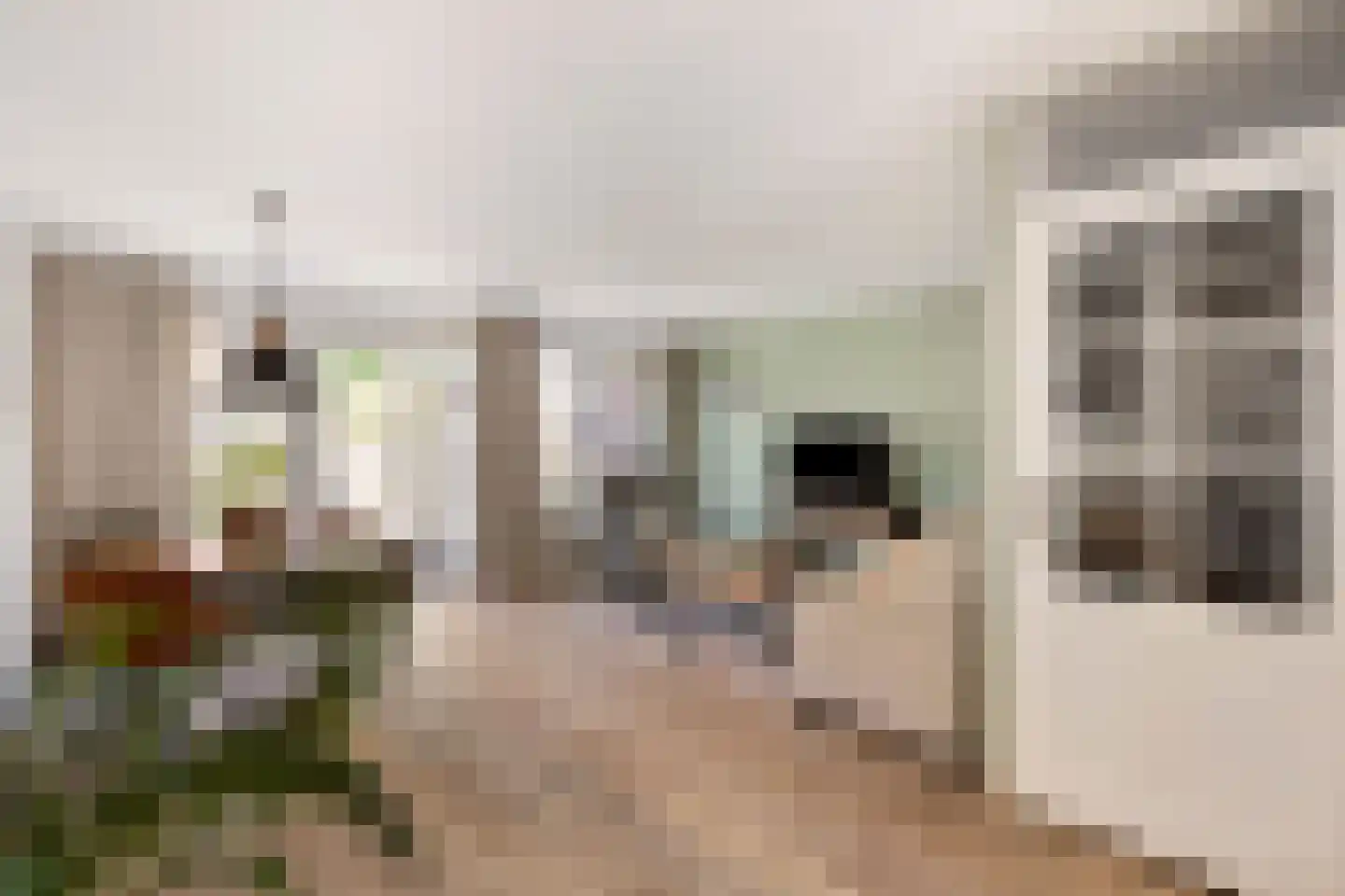 Dukaatstraat 2 Alkmaar thumbnail 10