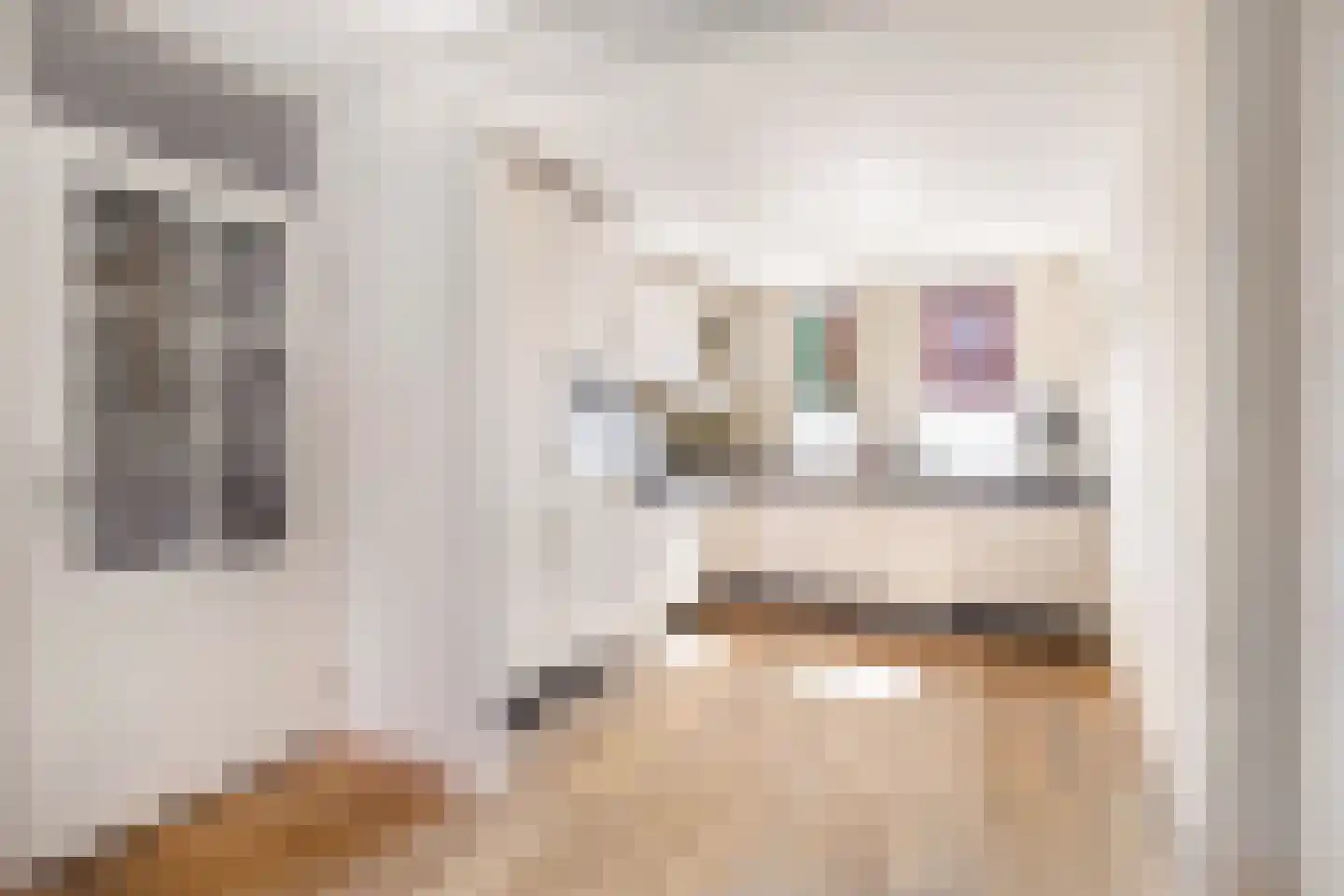 Dukaatstraat 2 Alkmaar thumbnail 15