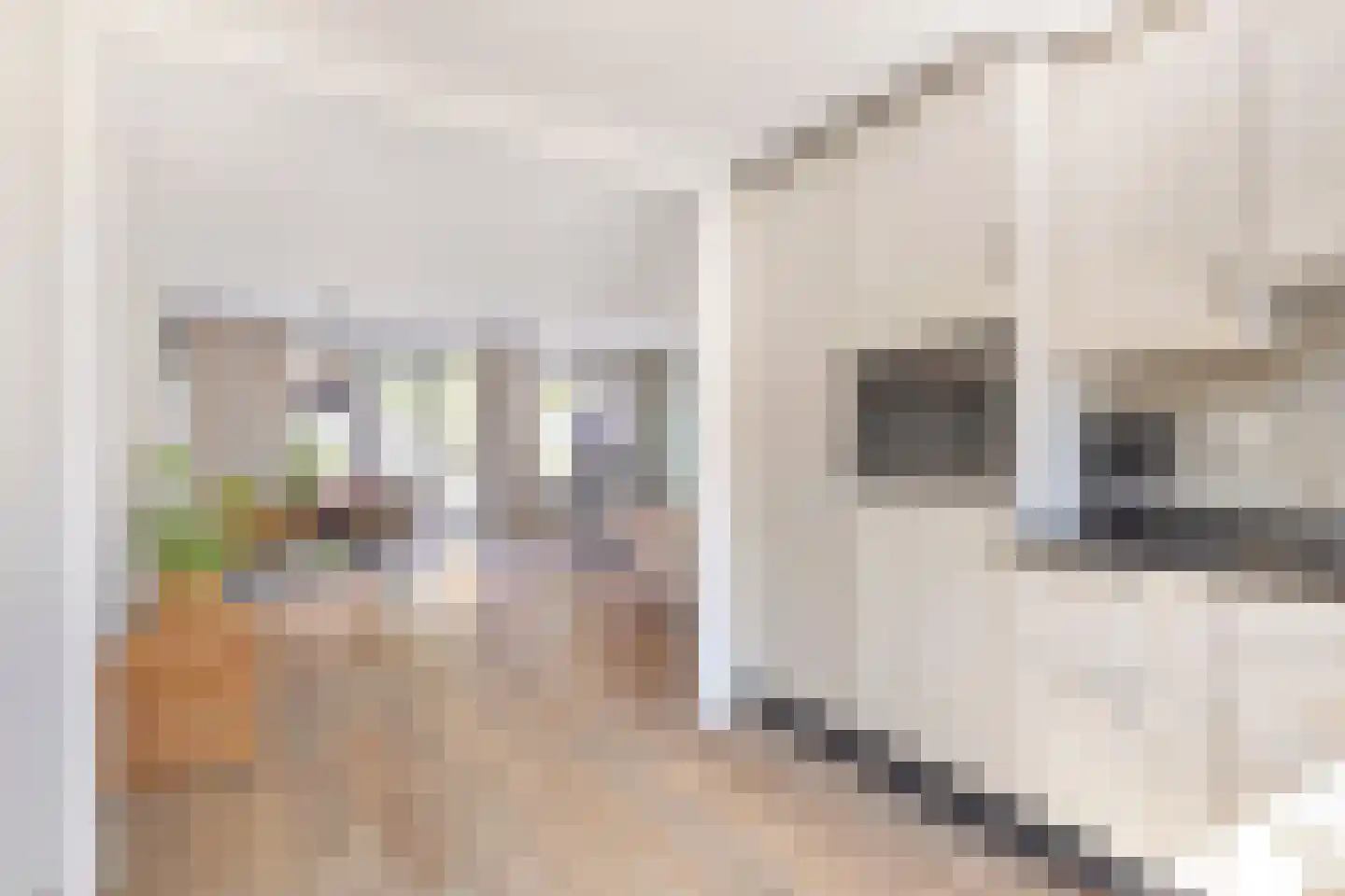 Dukaatstraat 2 Alkmaar thumbnail 16