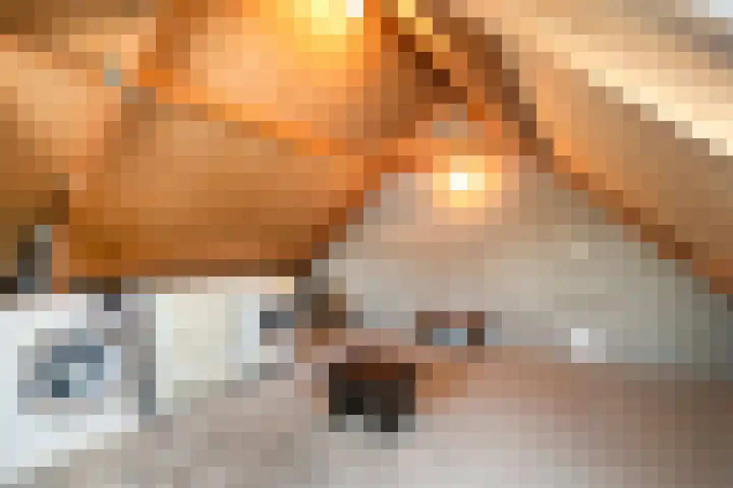 Dukaatstraat 2 Alkmaar thumbnail 29
