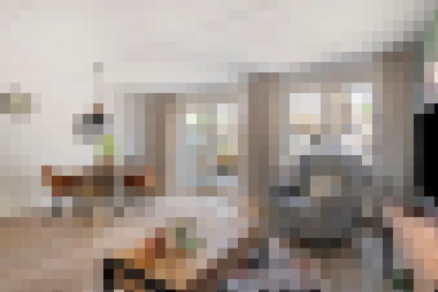Dukaatstraat 2 Alkmaar foto 3