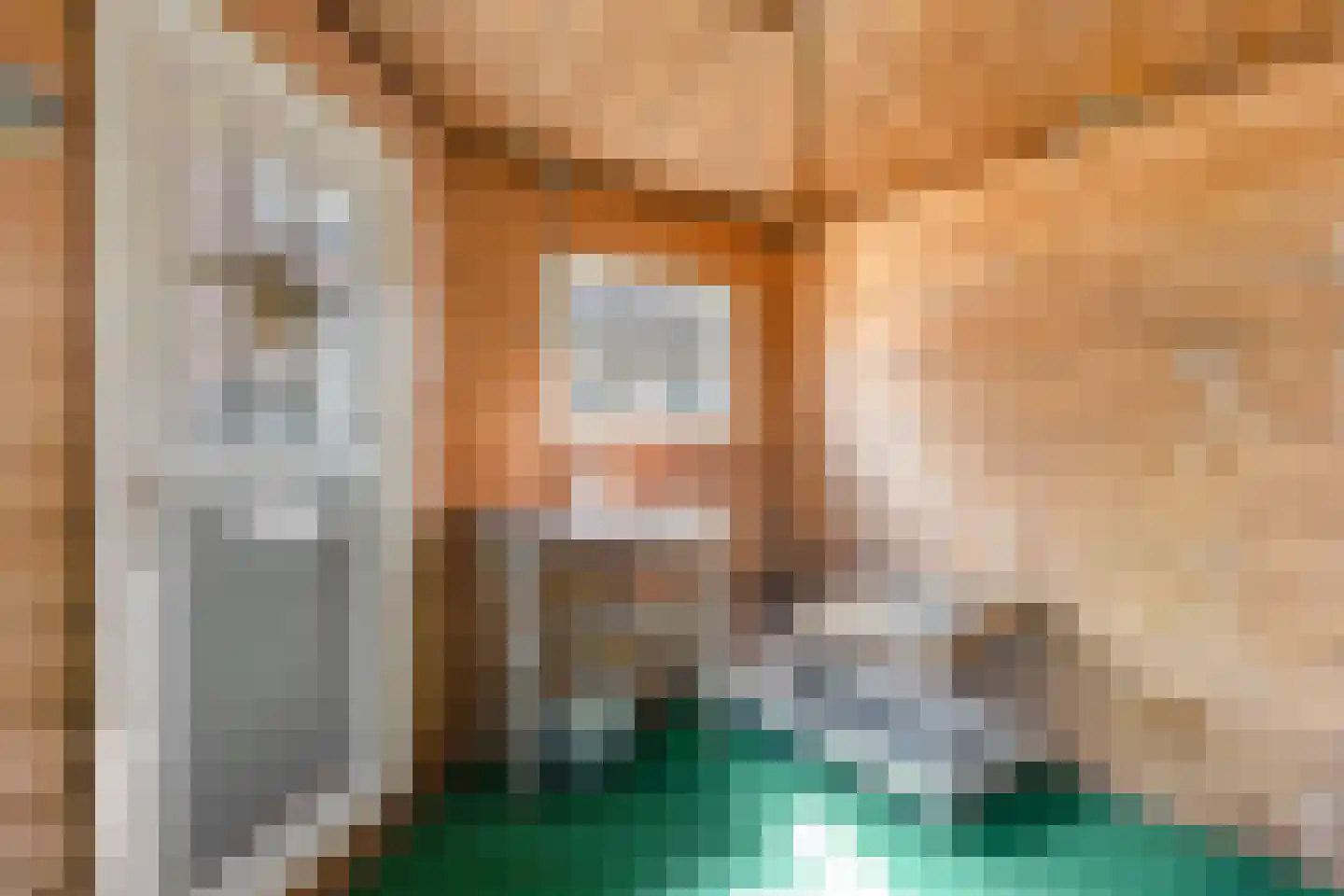 Dukaatstraat 2 Alkmaar thumbnail 34