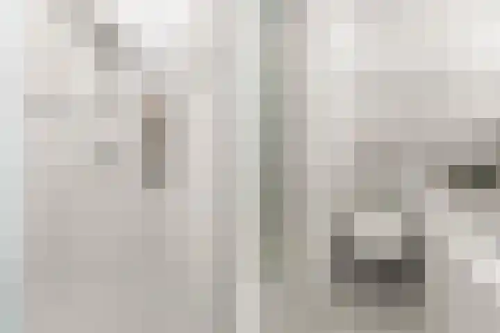 Dukaatstraat 2 Nijmegen thumbnail 17