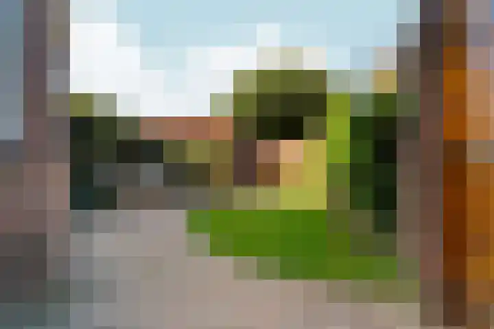 Dukaatstraat 2 Nijmegen thumbnail 21