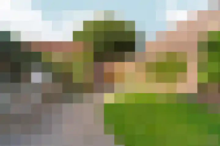 Dukaatstraat 2 Nijmegen thumbnail 22