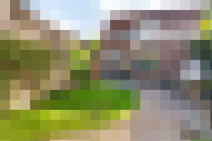 Dukaatstraat 2 Nijmegen thumbnail 24