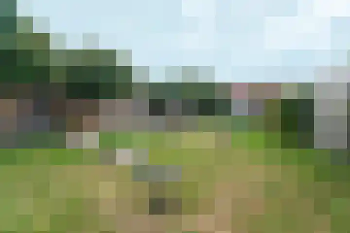 Dukaatstraat 2 Nijmegen thumbnail 26