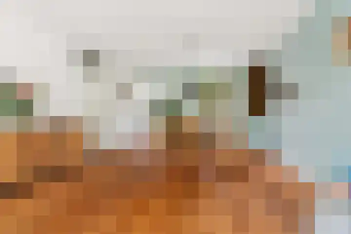 Dukaatstraat 2 Nijmegen thumbnail 4