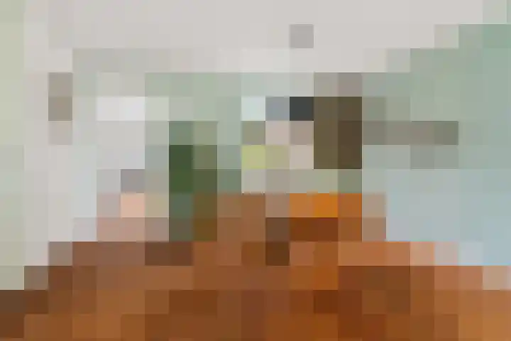 Dukaatstraat 2 Nijmegen thumbnail 5