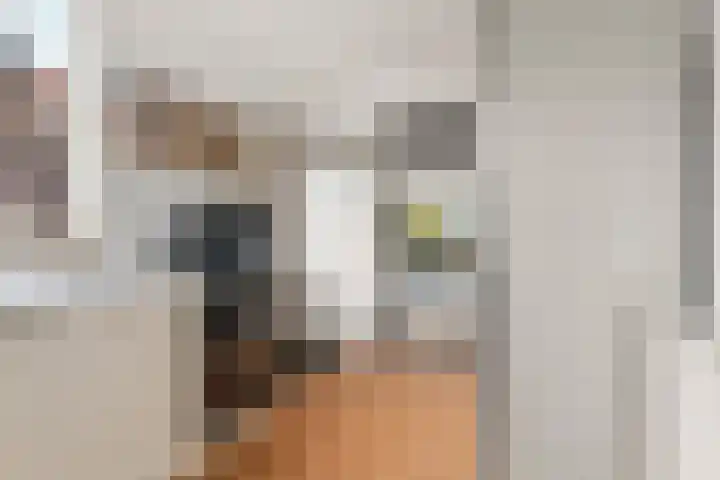 Dukaatstraat 2 Nijmegen thumbnail 8