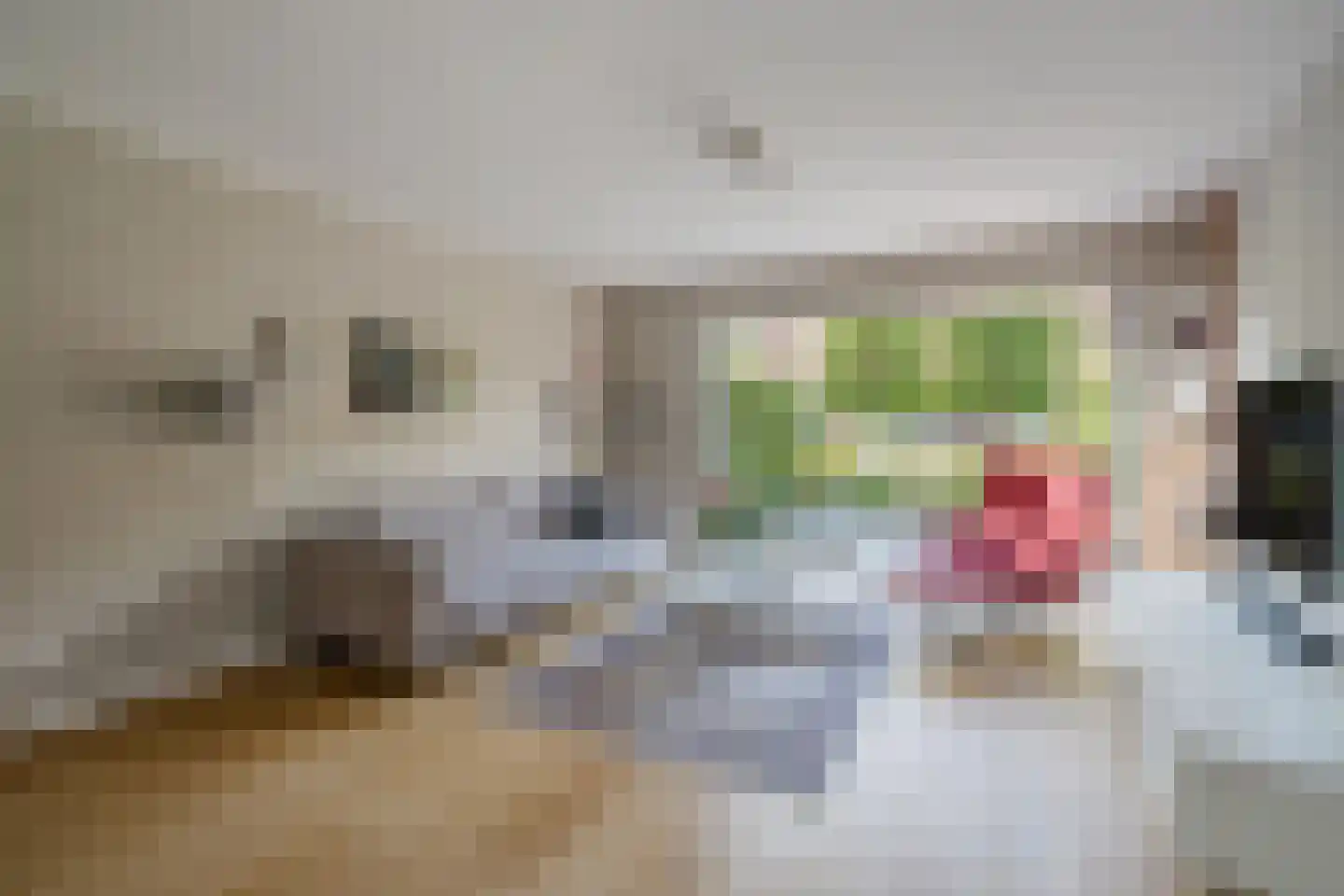 Dukaatstraat 20 Delfgauw thumbnail 11