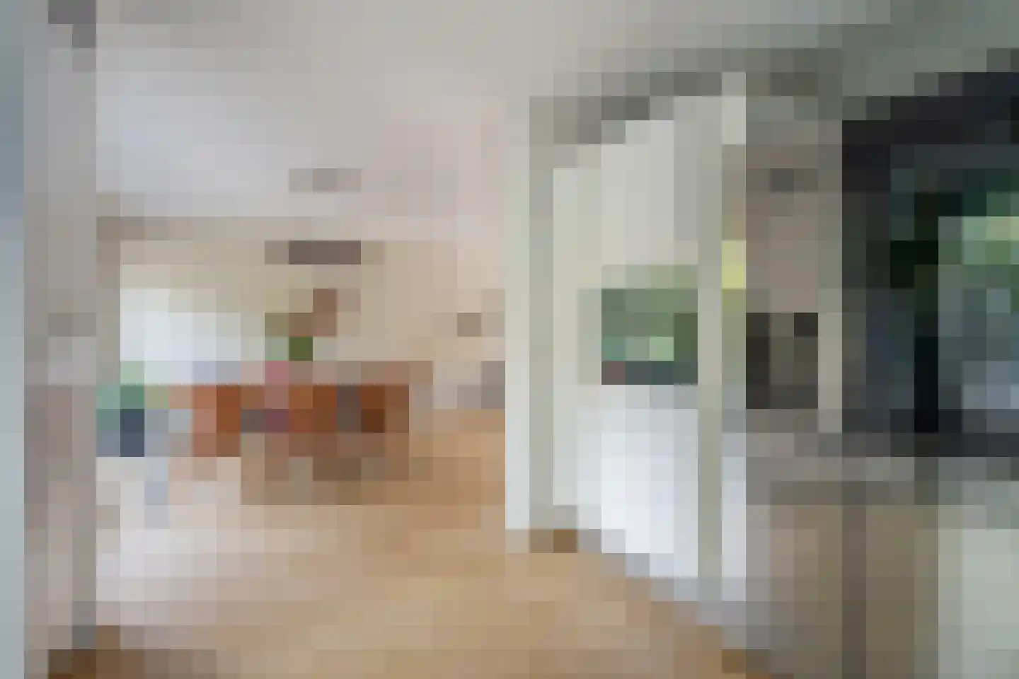 Dukaatstraat 20 Delfgauw thumbnail 19