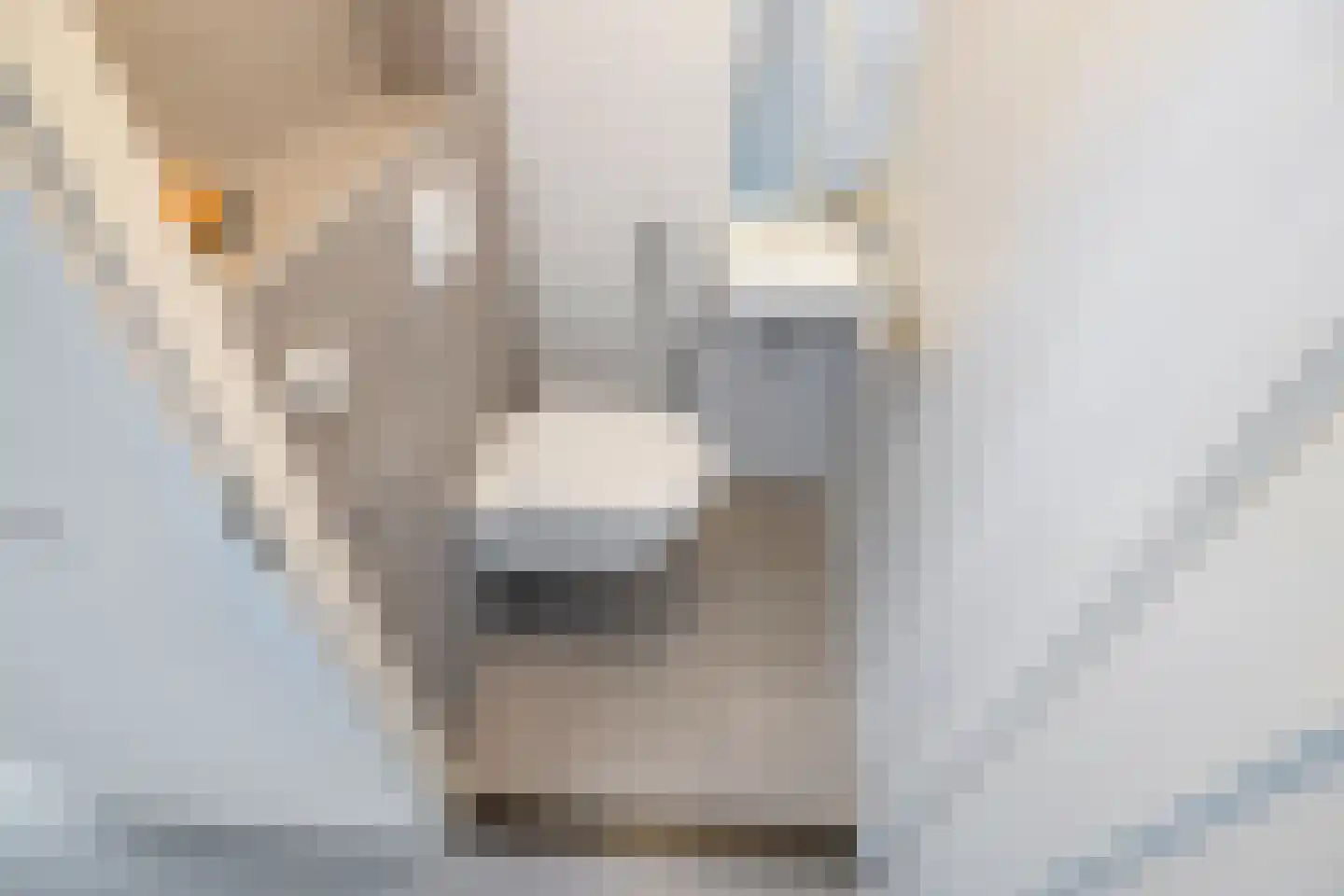 Dukaatstraat 20 Delfgauw thumbnail 23