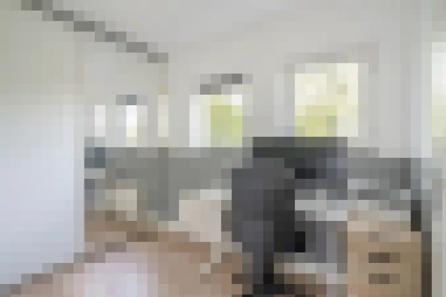 Dukaatstraat 20 Delfgauw thumbnail 31