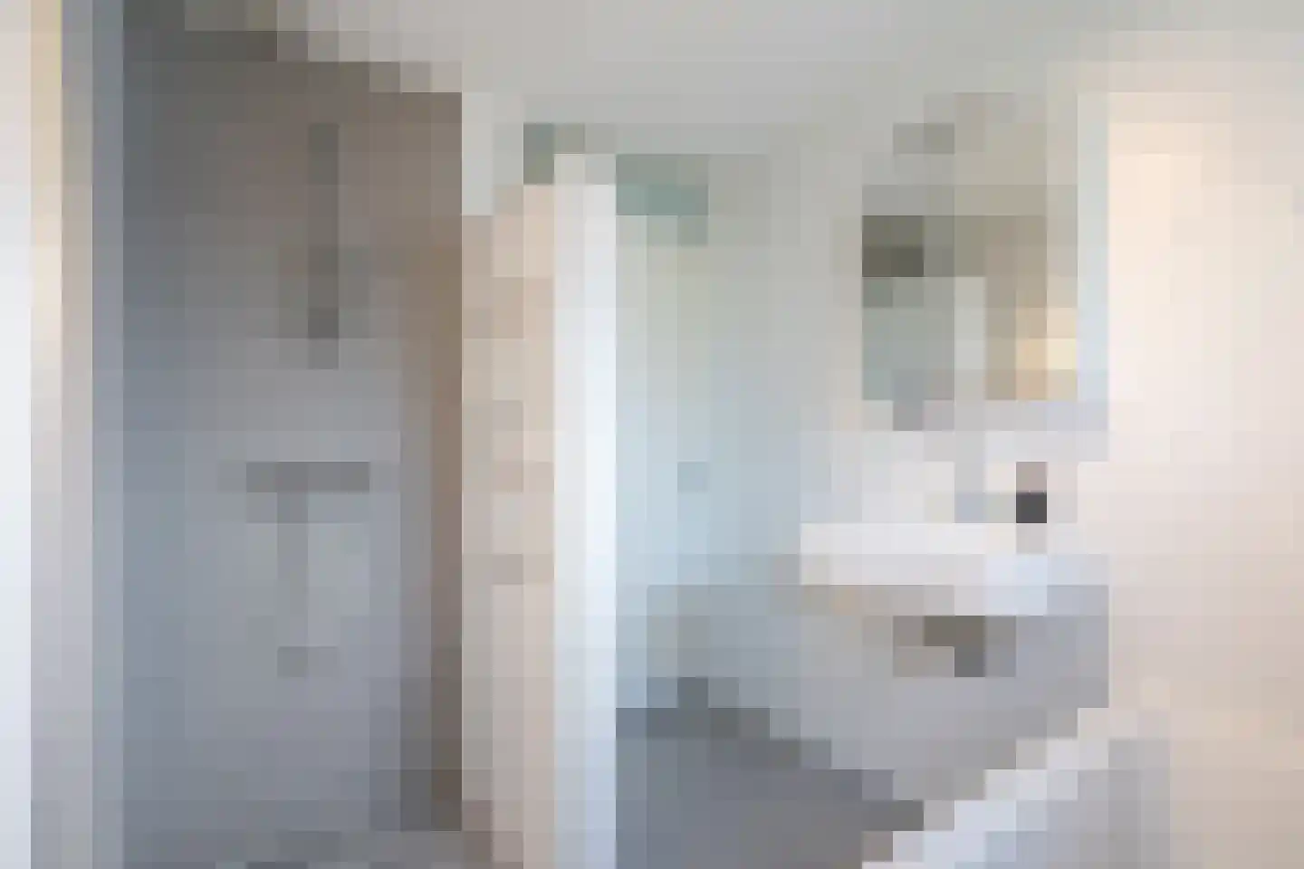 Dukaatstraat 20 Delfgauw thumbnail 33
