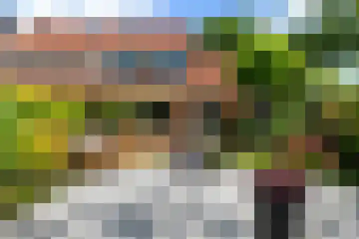 Dukaatstraat 36 Alkmaar thumbnail 30