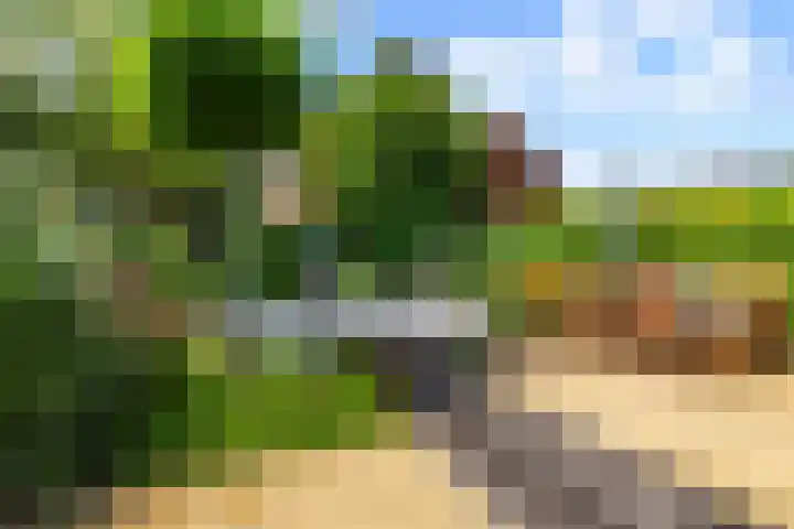 Dukaatstraat 36 Alkmaar thumbnail 32