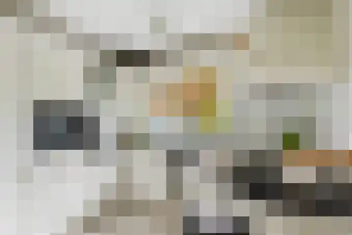 Dukaatstraat 36 Alkmaar thumbnail 8