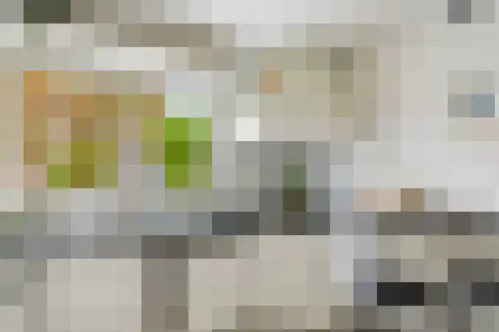 Dukaatstraat 36 Alkmaar thumbnail 9