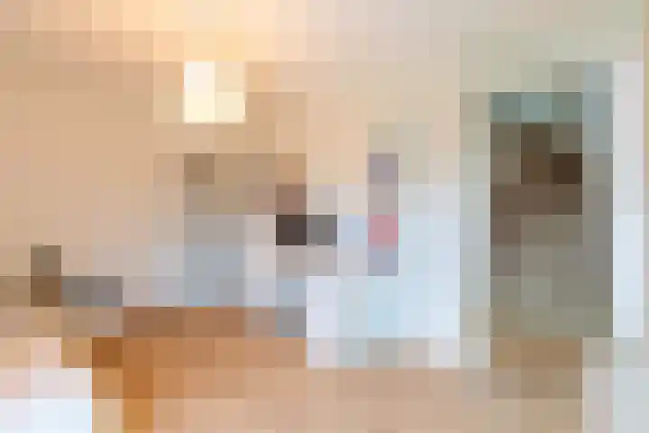 Dukaatstraat 38 Delfgauw thumbnail 15
