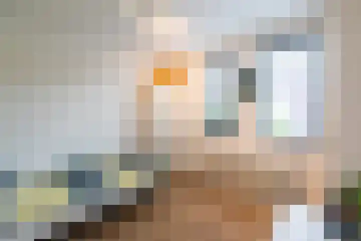 Dukaatstraat 38 Delfgauw thumbnail 16