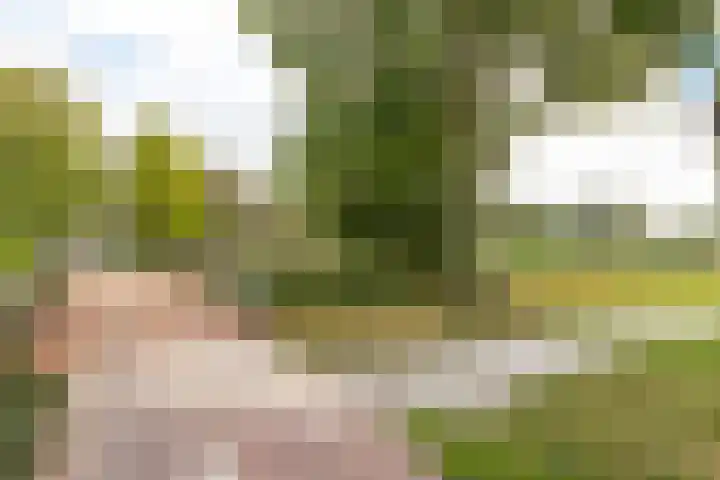 Dukaatstraat 38 Delfgauw thumbnail 28