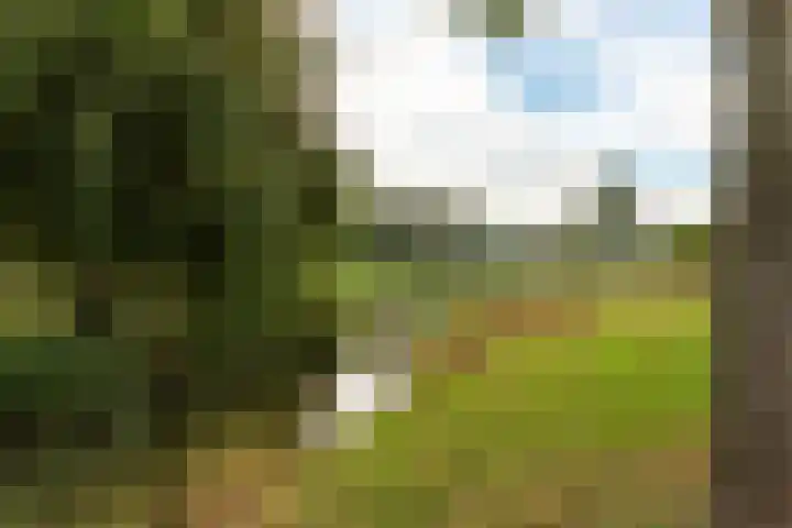 Dukaatstraat 38 Delfgauw thumbnail 29