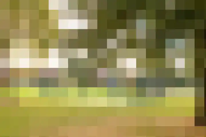 Dukaatstraat 38 Delfgauw thumbnail 30