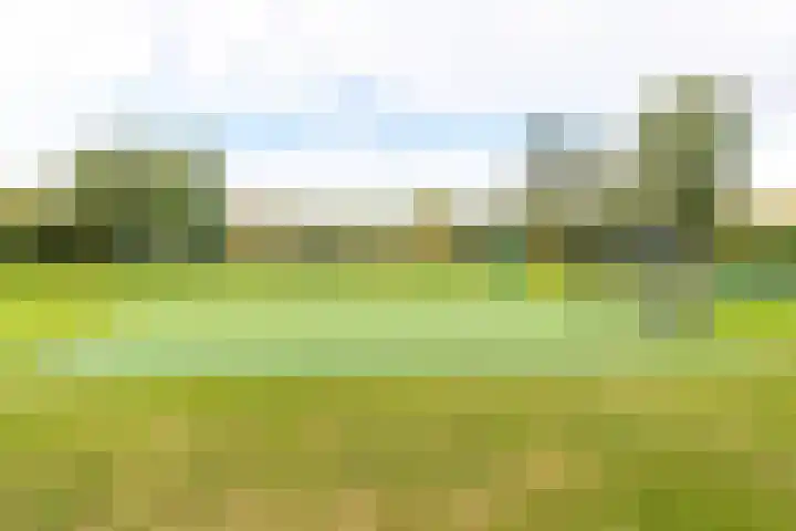 Dukaatstraat 38 Delfgauw thumbnail 31