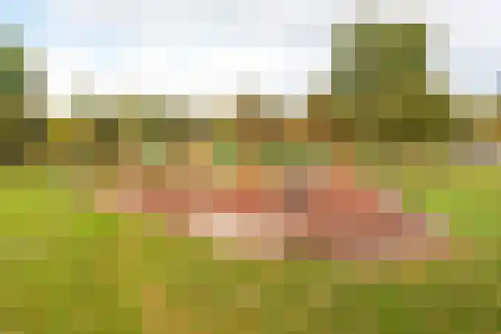 Dukaatstraat 38 Delfgauw thumbnail 32