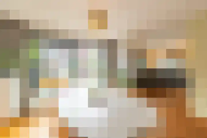 Dukaatstraat 38 Delfgauw thumbnail 5