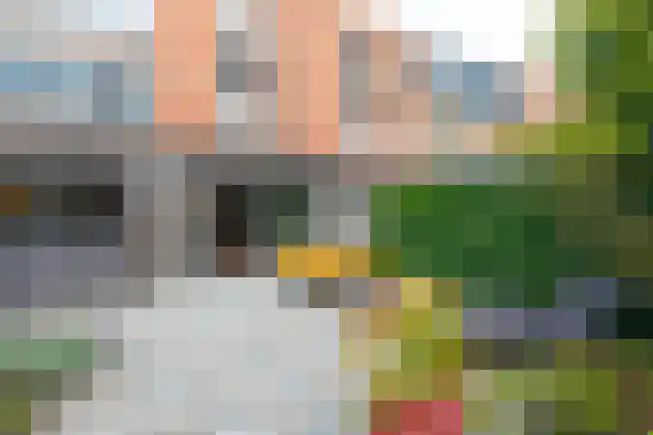 Dukaatstraat 38 Delfgauw thumbnail 8