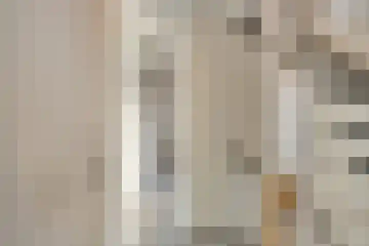 Dukaatvlinder 21 Hellevoetsluis thumbnail 10