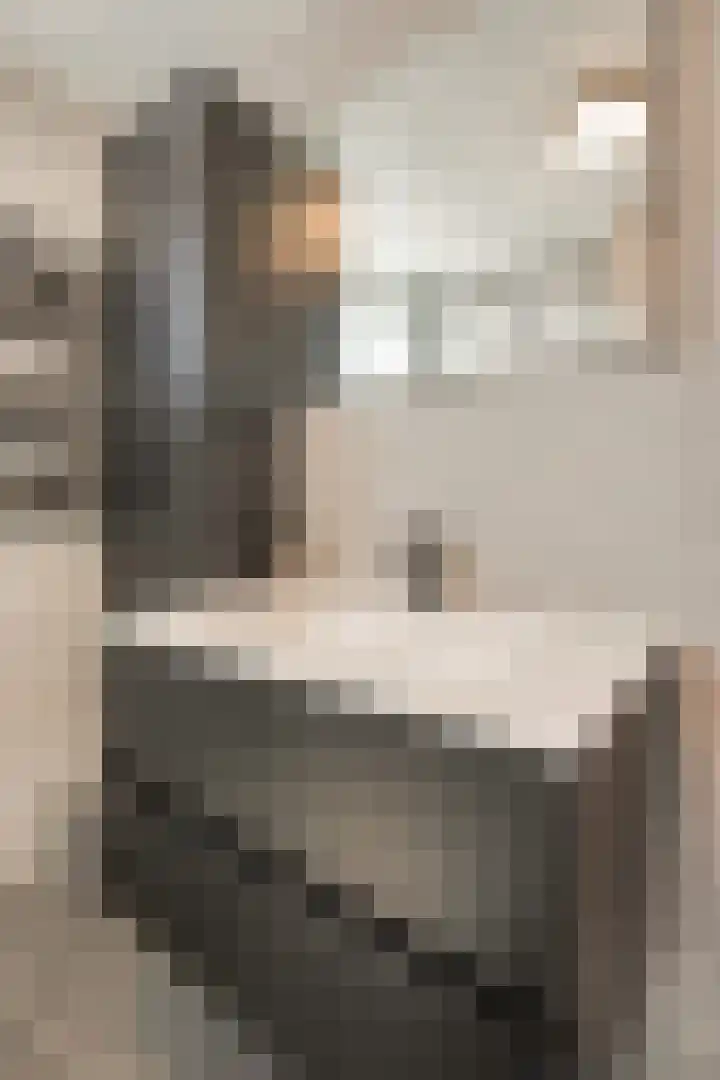 Dukaatvlinder 21 Hellevoetsluis thumbnail 11