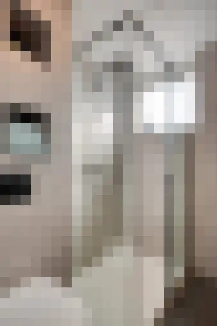 Dukaatvlinder 21 Hellevoetsluis thumbnail 13