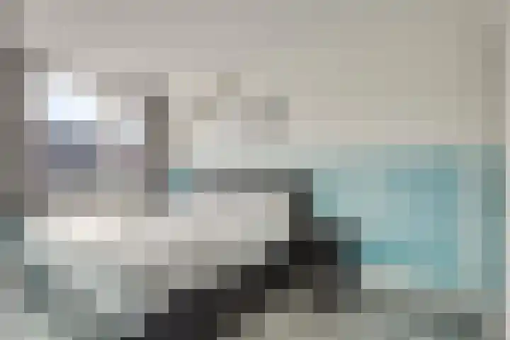 Dukaatvlinder 21 Hellevoetsluis thumbnail 14