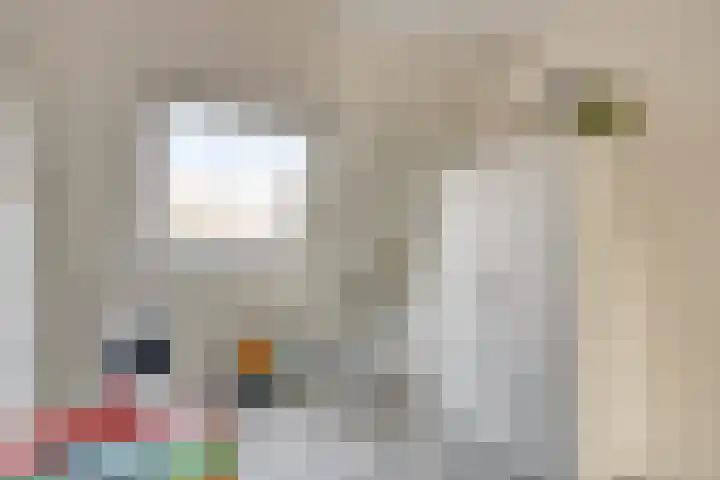 Dukaatvlinder 21 Hellevoetsluis thumbnail 17