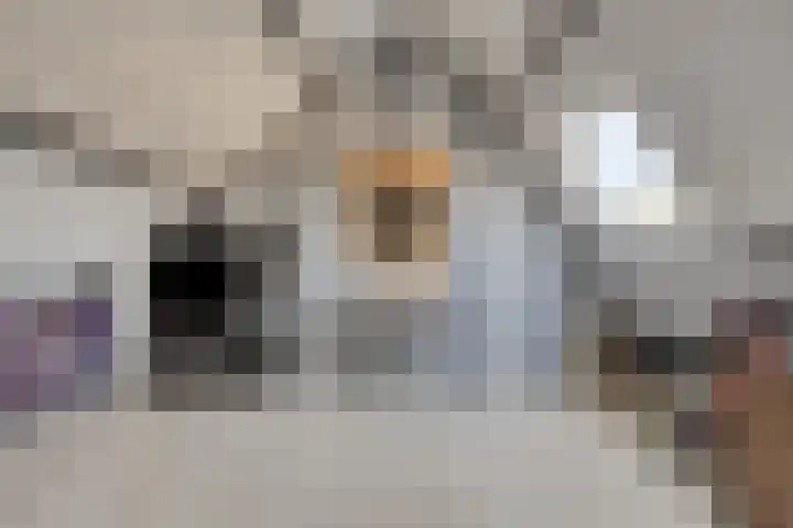 Dukaatvlinder 21 Hellevoetsluis thumbnail 19